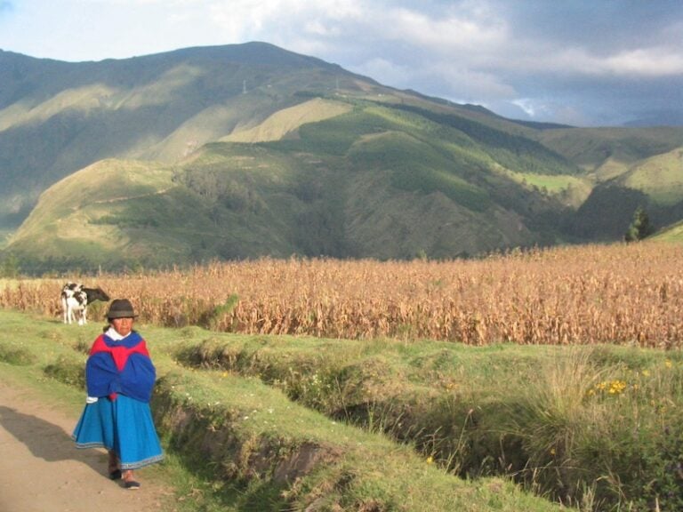 Ecuadorean traditionally dressed lady in the Andes highlands