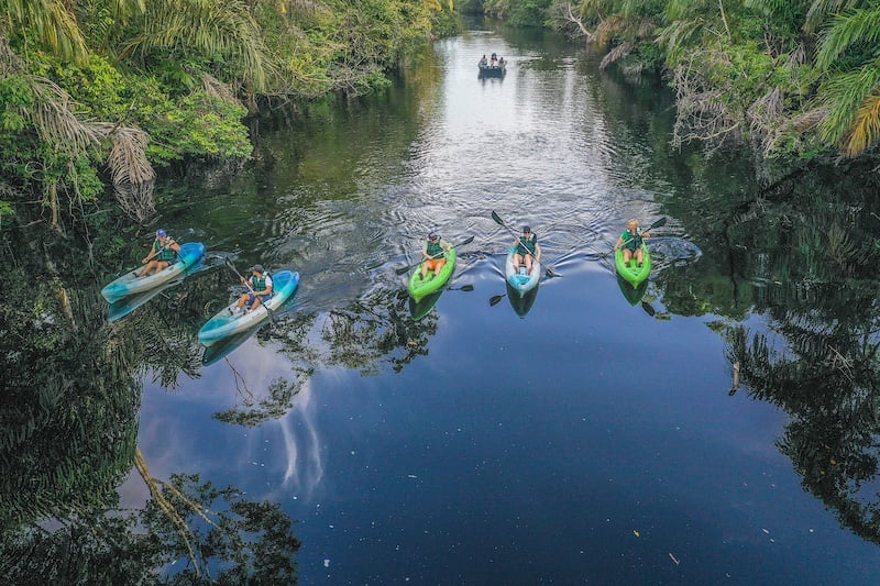 Kayaking in Torguero National Park