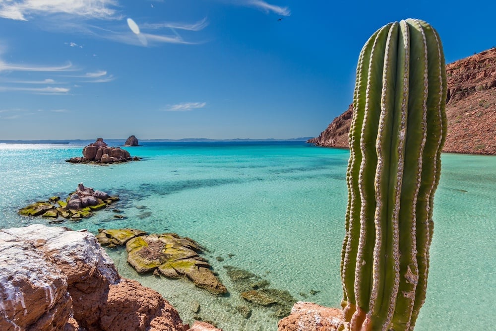 Baja California beach with turquoise sea and cactus
