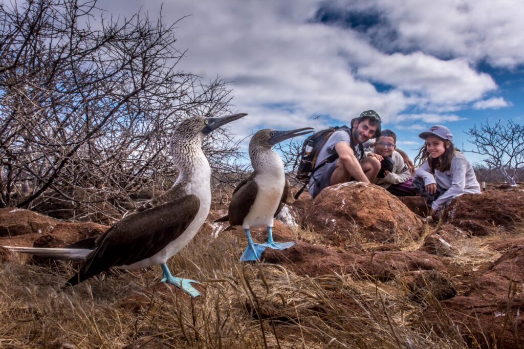Blue footed boobie narrow strip wtih kids