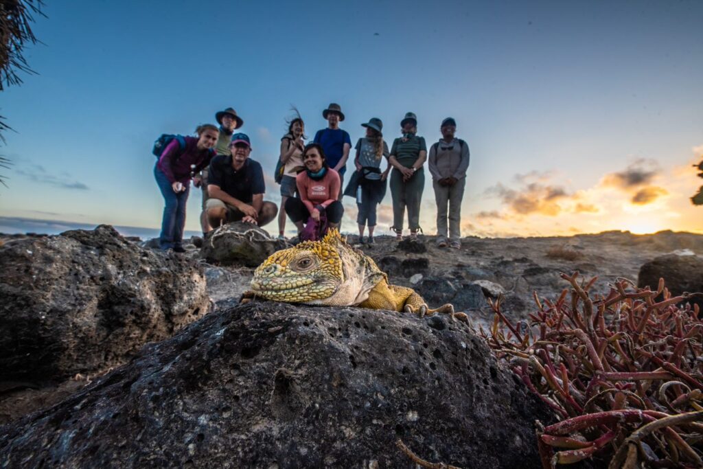 Galapagos Isands -Fantastic image with lava land iguana and group in background