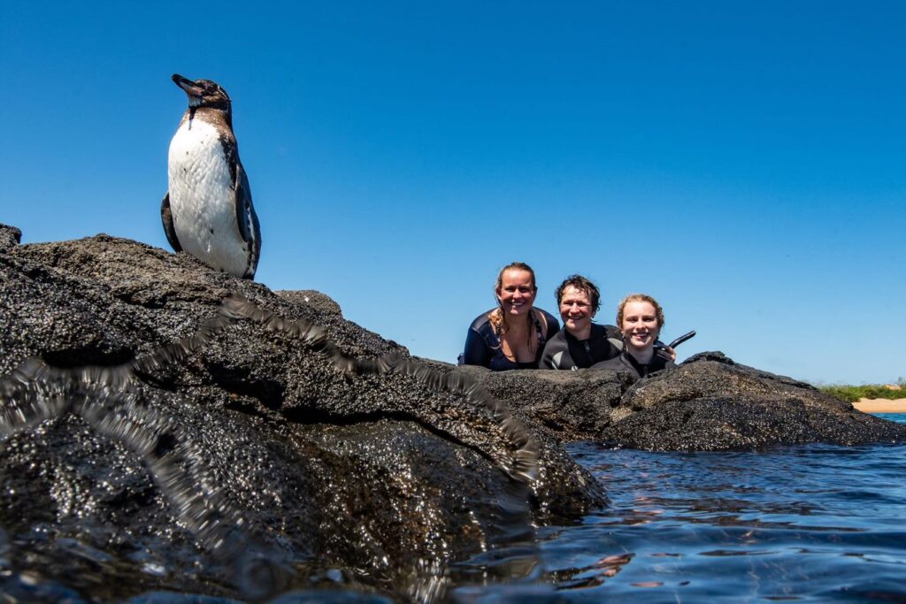 Happy young people with penguiun and lava
